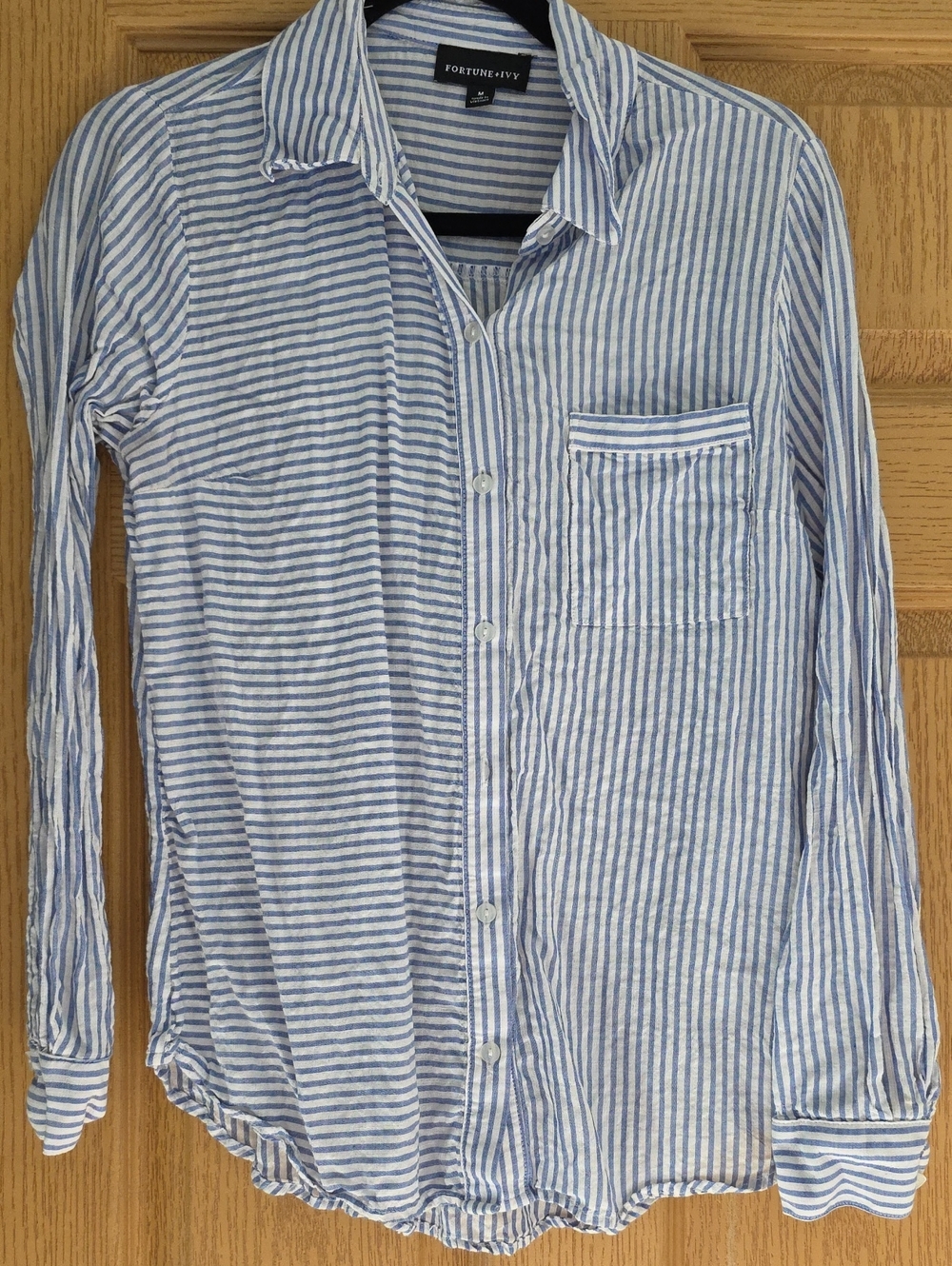 Blue and White Striped Women's Button-Up Shirt